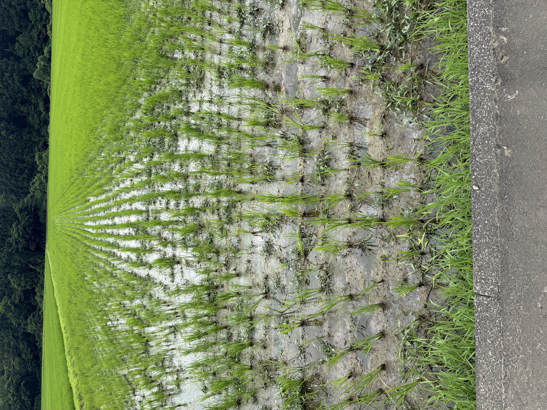 Field research photo 34